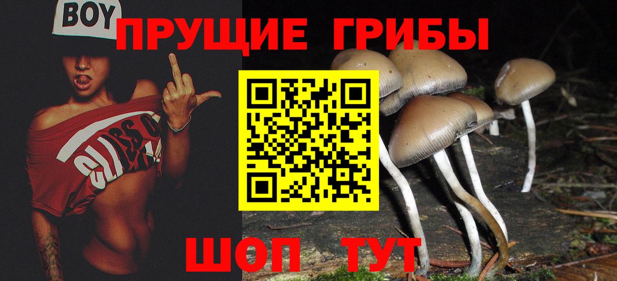 Галлюциногенные грибы ЛСД Лесозаводск